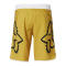 FOX Boardshorts Flection